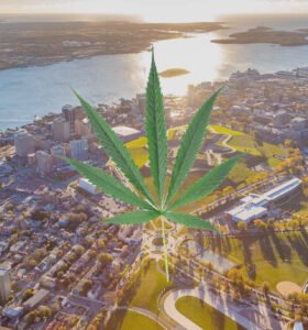 Rise Of Online Weed Delivery Services in Halifax NS - GUIDE