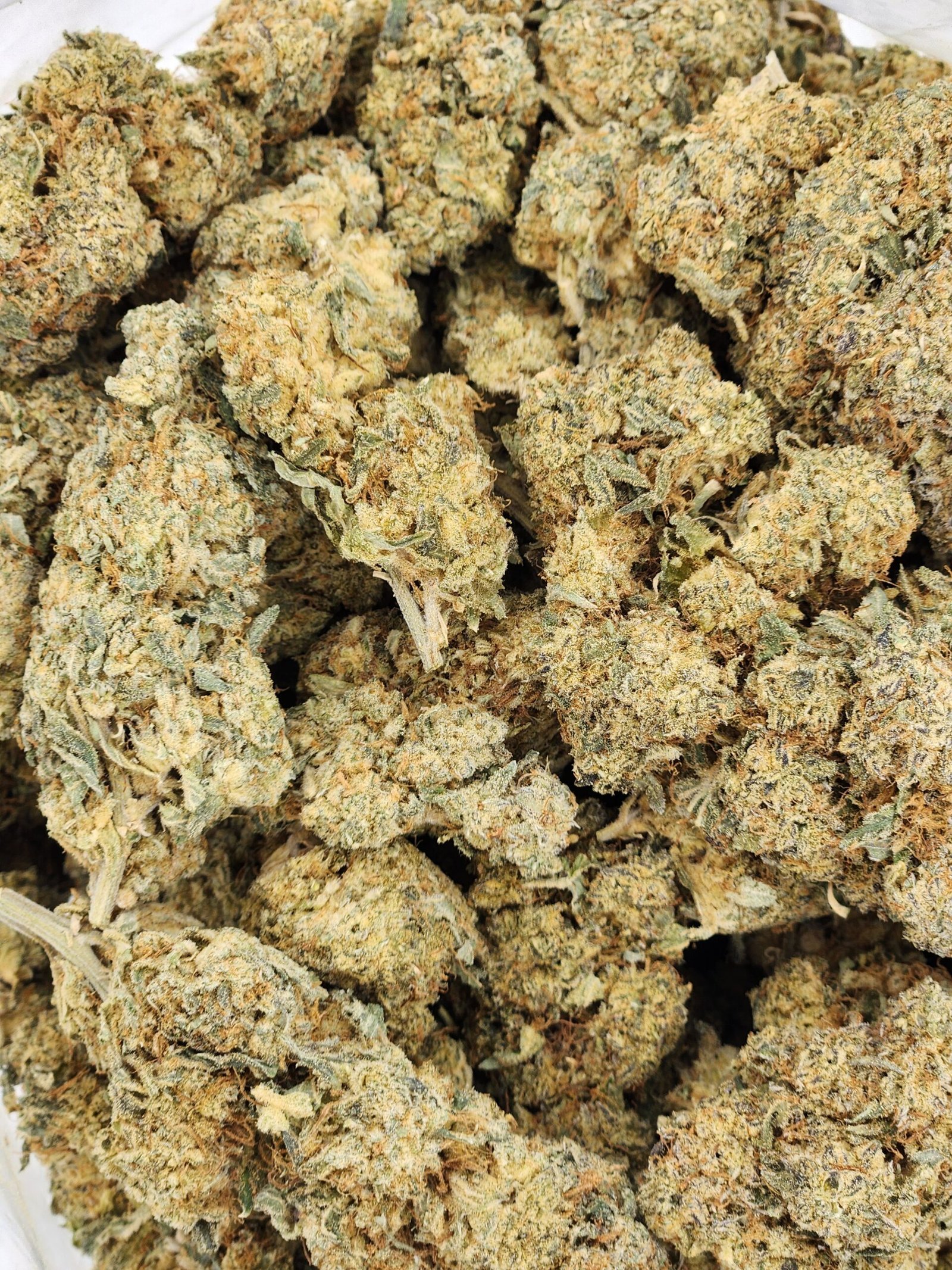 flower - bag - master kush Master Kush (GAS) - Image 2