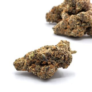 Catnip