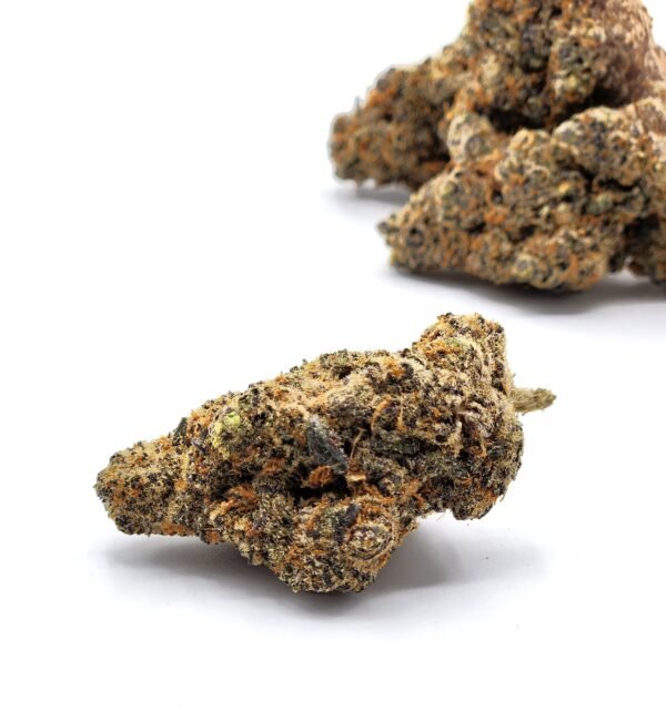 Catnip - Image 1