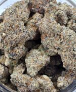 Catnip - Image 2