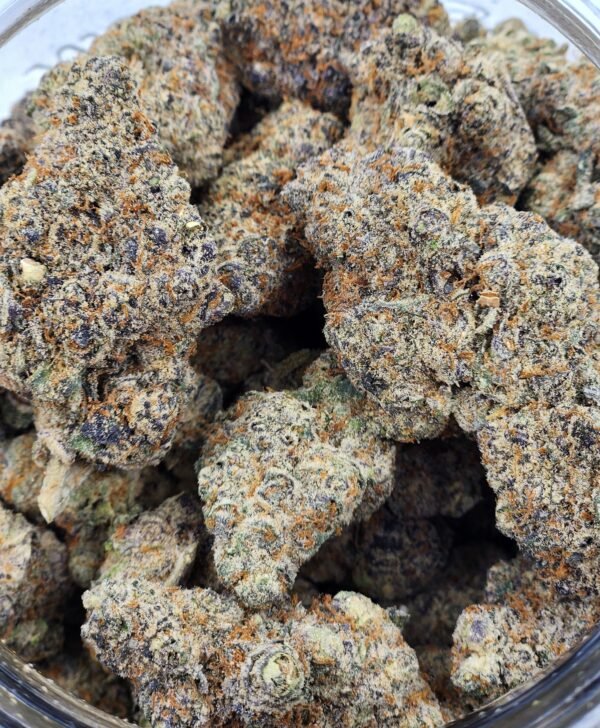 Catnip - Image 2