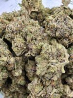 MK Ultra ⛽ - Image 2