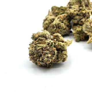 MK Ultra ⛽
