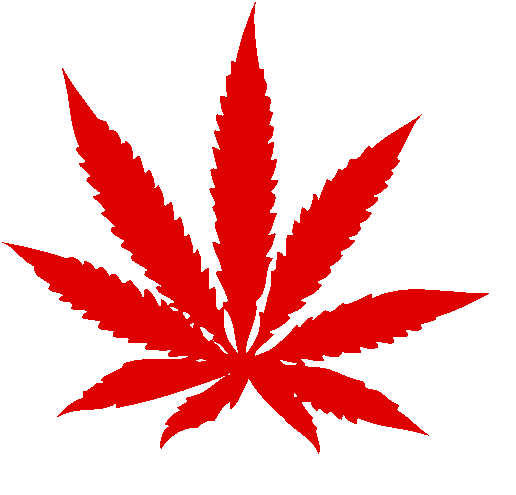 Halifax cannabis store - Weed delivery same day services