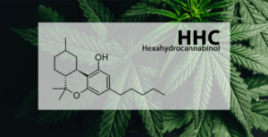 hhc-hexahydrocannabinol