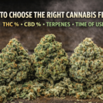 Choosing the Right Cannabis Flower