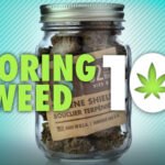 How to Store Weed Properly