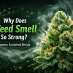 Why does weed smell so strong