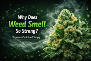 Why does weed smell so strong