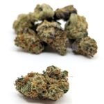 Cactus Breath