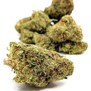 Mendo's Breath