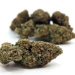 Silver Kush