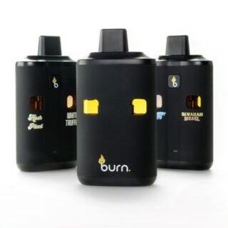 Burn (6g Vape) 2 Flavours