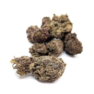 KO Kush