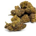LA Pop Rocks