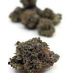 Tuna Smalls (Gas)