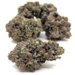 Black Tuna (Gas)